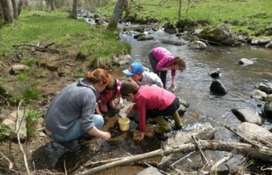 Classe de découverte Environnement