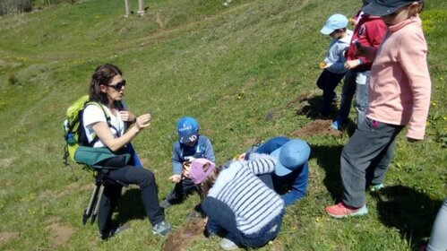 Séjour Education à Environnement : Nature, Patrimoine & Volcanisme...