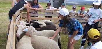 Ferme pédagogique, soins des animaux, ateliers