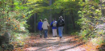 Randonnées pédestres libre ou accompagné