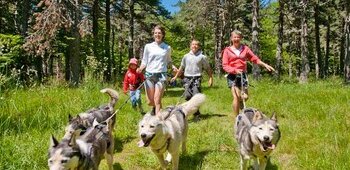 Cani-rando et trottinettes à chiens - sur place